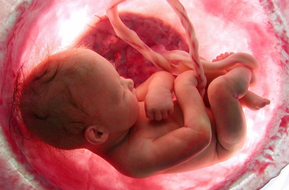 bebé vida niño hijo aborto